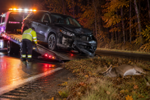 Vehicle needing towing after a deer accident in Michigan.